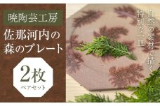 佐那河内の森のプレート 2枚 皿 食器 プレート 手作り 暁陶芸工房《30日以内に出荷予定(土日祝除く)》 自然 キッチン用品 日用品 オリジナル 雑貨 徳島県 佐那河内村