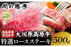 大川原高原牛 特選ロースステーキ 計500g 冷凍便 肉の藤原 《30日以内に出荷予定(土日祝除く)》和牛 希少 大川原高原 牛肉 焼肉 ロース 牛肉 ステーキ 贅沢 バーベキュー BBQ キャンプ ギフト 贈答 徳島県 佐那河内村 st-p