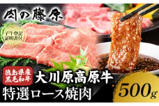 大川原高原牛 特選ロース 焼肉 500g 冷凍便 肉の藤原《30日以内に出荷予定(土日祝除く)》和牛 希少 大川原高原 牛肉 焼肉 ロース 贅沢 バーベキュー BBQ キャンプ ギフト 贈答 徳島県 佐那河内村 st-p