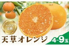ハウス追熟 天草オレンジ 4玉～9玉入 廣畠農園《1月中旬頃出荷予定》徳島県 佐那河内村 みかん ミカン 蜜柑 柑橘 フルーツ 果物 くだもの【配送不可地域あり】※離島