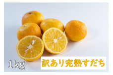 [№5852-0650]訳あり完熟すだち1kg　※10月下旬頃から発送