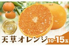 ハウス追熟 天草オレンジ 10玉～15玉入 廣畠農園《1月中旬頃出荷予定》徳島県 佐那河内村 みかん ミカン 蜜柑 柑橘 フルーツ 果物 くだもの【配送不可地域あり】※離島