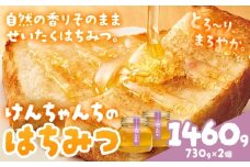 けんちゃんちのはちみつ 730g 2個セット《30日以内に出荷予定（土日祝除く）》ふるさと納税 はちみつ ハチミツ 蜂蜜 国産蜂蜜 天然蜜蜂 徳島県 佐那河内村 送料無料