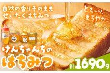 けんちゃんちのはちみつ  200g 300g 460g 730g 全部セット《30日以内に出荷予定（土日祝除く）》ふるさと納税 はちみつ ハチミツ 蜂蜜 国産蜂蜜 天然蜜蜂 徳島県 佐那河内村 送料無料