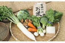021-001　石井町産美味しい野菜＆お米（6kg）の詰め合わせセット