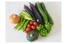 012-005 若葉農園の無農薬自然栽培野菜セット