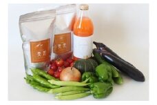 030-022　若葉農園の無農薬自然栽培野菜セットと自然栽培野菜人参ジュース1L1本、自然栽培麦茶2袋