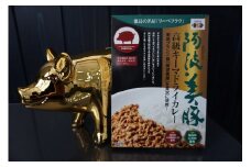 023-001　阿波美豚高級キーマドライカレー（１０個セット）