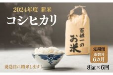 102-1002　先行予約【6回定期便】石井町産コシヒカリ8kg×6カ月（奇数月） ※2024年9月上旬以降に順次発送予定 ※離島への配送不可◇