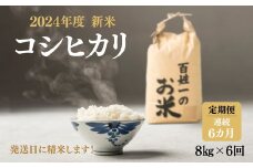 102-1001　先行予約【6回定期便】石井町産コシヒカリ8kg×連続6カ月 ※2024年9月上旬以降に順次発送予定 ※離島への配送不可◇