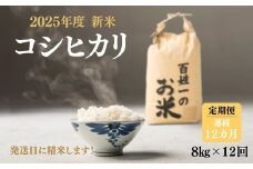 256-1001　【12回定期便】石井町産コシヒカリ8kg×連続12カ月 ※離島への配送不可
