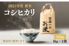 031-001　先行予約/石井町産コシヒカリ16kg(8kg×2) ※2024年9月上旬以降に順次発送予定 ※離島への配送不可◇