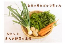 010-095　まんま野菜の宝箱セット S