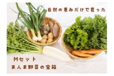 012-018　まんま野菜の宝箱セット M