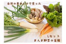 016-003　まんま野菜の宝箱セット L