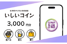 010-096　石井町デジタル地域通貨いしいコイン3,000円（1pt＝1円）1口