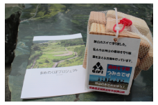 つみき・まめのくぼプロジェクト冊子