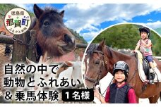 自然の中で動物とふれあい＆乗馬体験（1名）CC-1 徳島 那賀 体験 乗馬 乗馬体験  動物とふれあい アウトドア レジャー 1名様 1枚【体験チケット】 
