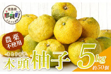 【10月末頃より随時発送】栽培期間中農薬・化学肥料不使用栽培の木頭柚子（黄玉）5kg 【徳島県 那賀町 木頭地区 徳島 那賀 木頭 木頭ゆず 木頭ユズ 木頭柚子 ゆず ユズ 柚子 果実 果物 柑橘 柑橘系 料理 ジャム 柚子風呂】OM-5