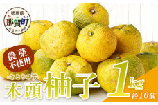 【10月末頃より随時発送】栽培期間中農薬・化学肥料不使用栽培の木頭柚子（黄玉）1kg 【徳島県 那賀町 木頭地区 徳島 那賀 木頭 木頭ゆず 木頭ユズ 木頭柚子 ゆず ユズ 柚子 果実 果物 柑橘 柑橘系 料理 ジャム 柚子風呂】OM-7