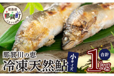 那賀町産 冷凍天然鮎 (小サイズ) 1kg入 KG-2【徳島県 那賀町 徳島 那賀 国産 天然鮎 天然 鮎 アユ あゆ 魚 さかな 冷凍 キャンプ BBQ バーベキュー 塩焼き 川魚 個包装】