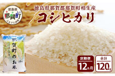 【定期便12回】那賀町のお米 コシヒカリ10kg［徳島 那賀 国産 お米 こめ おこめ 米 10kg 10キロ 精米 ご飯 ごはん 白米 はくまい 白ごはん 白ご飯 和食 おにぎり お弁当 こしひかり コシヒカリ 父の日 お中元 お歳暮 ギフト プレゼント 送料無料］【YS-17】