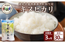 【定期便3回】那賀町のお米 キヌヒカリ10kg［徳島 那賀 国産 お米 こめ おこめ 米 10kg 10キロ 精米 ご飯 ごはん 白米 はくまい 白ごはん 白ご飯 和食 おにぎり お弁当 きぬひかり キヌヒカリ 父の日 お中元 お歳暮 ギフト プレゼント 送料無料］【YS-18】 