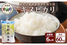【定期便6回】那賀町のお米 キヌヒカリ10kg［徳島 那賀 国産 お米 こめ おこめ 米 10kg 10キロ 精米 ご飯 ごはん 白米 はくまい 白ごはん 白ご飯 和食 おにぎり お弁当 きぬひかり キヌヒカリ 父の日 お中元 お歳暮 ギフト プレゼント 送料無料］【YS-19】