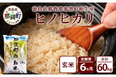 定期便6回 那賀町のお米(玄米) ヒノヒカリ 定期便 お米 こめ おこめ 米 ご飯 ごはん 玄米 げんまい げん米 和食 おにぎり お弁当 頒布会 コメ 6ヵ月 6ヶ月 ひのひかり ヒノヒカリ YS-25
