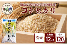 定期便12回 那賀町のお米(玄米) コシヒカリ 定期便 お米 こめ おこめ 米 ご飯 ごはん 玄米 げんまい げん米 和食 おにぎり お弁当 頒布会 コメ 12ヵ月 12ヶ月 こしひかり コシヒカリ YS-29