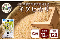 定期便12回 那賀町のお米(玄米) キヌヒカリ 定期便 お米 こめ おこめ 米 ご飯 ごはん 玄米 げんまい げん米 和食 おにぎり お弁当 頒布会 コメ 12ヵ月 12ヶ月 きぬひかり キヌヒカリ YS-32