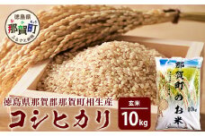 那賀町相生産コシヒカリ玄米10kg［徳島 那賀 国産 徳島県産 こめ おこめ 米 お米 ごはん ご飯 げんまい 玄米 こしひかり コシヒカリ 10kg 和食 おにぎり お弁当 食べて応援 ギフト プレゼント 母の日 父の日］【YS-4-4】