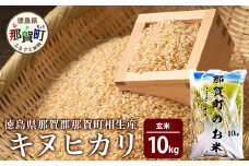 那賀町相生産 キヌヒカリ玄米10kg［徳島 那賀 国産 徳島県産 こめ おこめ 米 お米 ごはん ご飯 げんまい 玄米 キヌヒカリ 10kg 和食 おにぎり お弁当 食べて応援 ギフト プレゼント 母の日 父の日］【YS-5-4】