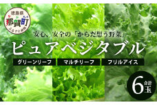 ピュアベジタブル 6袋［徳島県産 那賀町 やさい 野菜 新鮮 リーフレタス フリルレタス ベジタブル サラダ 野菜生活 レタス 国産 安心 安全 無農薬 農薬未使用 機能性野菜 工場栽培 工場直送］【NV-1】
