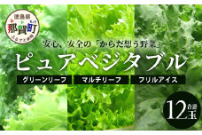 ピュアベジタブル 12袋［徳島県産 那賀町 やさい 野菜 新鮮 リーフレタス フリルレタス ベジタブル サラダ 野菜生活 レタス 国産 安心 安全 無農薬 農薬未使用 機能性野菜 工場栽培 工場直送］【NV-2】
