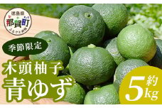 【先行受付・期間限定】徳島県那賀町産 木頭ゆず 青ゆず 5Kg (約60個) 【8月下旬頃より発送】徳島 木頭地区 栽培期間中農薬・化学肥料不使用 柚子 ユズ 青柚子 黄金の村 国産 新鮮 薬味 柑橘 産地直送 OM-137