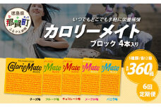 ≪6回定期便：合計360箱≫  カロリーメイト ブロック 4本入り 5種類 各12箱 計60箱【大塚製薬 定期便 チョコ バニラ メープル チーズ フルーツ 5大栄養素 徳島県 那賀町 非常食 常備食 災害 新生活 備蓄 長期保存 栄養食】MS-2-6