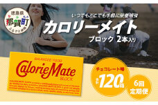【6回定期便】≪チョコレート味≫ カロリーメイトブロック 2本入り 計20箱 ×6回 合計120箱【徳島 那賀 大塚製薬 カロリーメイト チョコ ビタミン ミネラル たんぱく質 脂質 糖質 5大栄養素 バランス栄養食 栄養補給 仕事 勉強 スポーツ 防災 災害 地震 非常食 常備食 備蓄 受験 受験応援 新生活】MS-5-6-choco