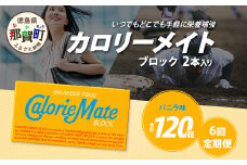 【6回定期便】≪バニラ味≫ カロリーメイトブロック 2本入り 計20箱 ×6回 合計120箱【徳島 那賀 大塚製薬 カロリーメイト バニラ ビタミン ミネラル たんぱく質 脂質 糖質 5大栄養素 バランス栄養食 栄養補給 仕事 勉強 スポーツ 防災 災害 地震 非常食 常備食 備蓄 受験 受験応援 新生活】MS-5-6-vanilla