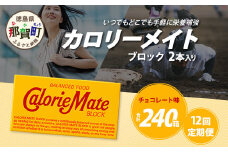 【12回定期便】≪チョコレート味≫ カロリーメイトブロック 2本入り 計20箱 ×12回 合計240箱【徳島 那賀 大塚製薬 カロリーメイト チョコ ビタミン ミネラル たんぱく質 脂質 糖質 5大栄養素 バランス栄養食 栄養補給 仕事 勉強 スポーツ 防災 災害 地震 非常食 常備食 備蓄 受験 受験応援 新生活】MS-5-12-choco