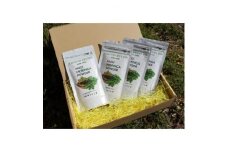 MUGI MORINGA POWDER　(奇跡の樹 モリンガ)30g×4袋【1402244】
