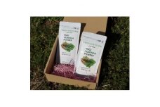 MUGI MORINGA POWDER　(奇跡の樹 モリンガ)30g×2袋【1402246】