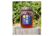 牟岐ハニー　日本ミツバチの百花蜜　600g【1433970】