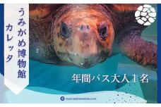 日和佐うみがめ博物館カレッタ入館年間パス　【大人１名分】