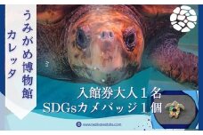 日和佐うみがめ博物館カレッタ　【入館券大人１名とSDGｓカメバッチ１つ】