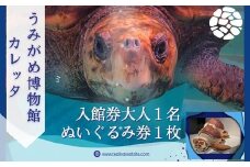 日和佐うみがめ博物館カレッタ　【入館券大人１名と限定スピードくじ１回】