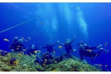 徳島・日和佐ダイナミック２ボートダイビング（ダイバーコース）