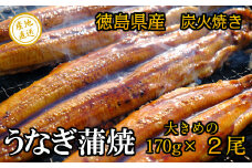 徳島県産 うなぎ蒲焼 こだわりの炭火焼 大きめ２尾