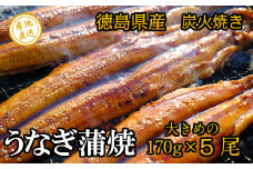 徳島県産 うなぎ蒲焼 こだわりの炭火焼 大きめ５尾