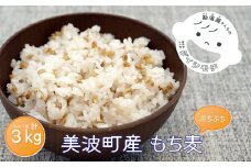 美波町産 もち麦 3kg（1kg×3袋）